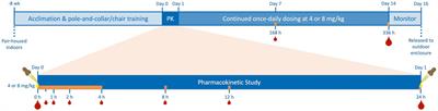 Pharmacokinetics of cannabidiol-/cannabidiolic acid-rich hemp oil in juvenile cynomolgus macaques (Macaca fascicularis)